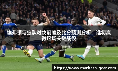 埃弗顿与狼队对决前瞻及比分预测分析，谁将赢得这场关键战役