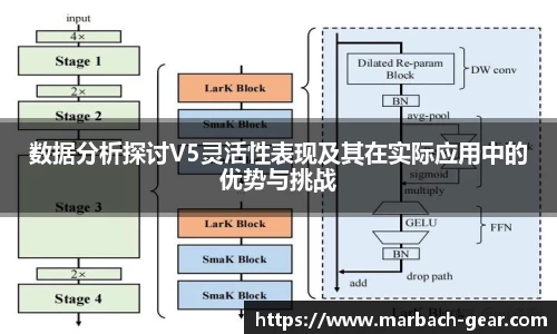 数据分析探讨V5灵活性表现及其在实际应用中的优势与挑战